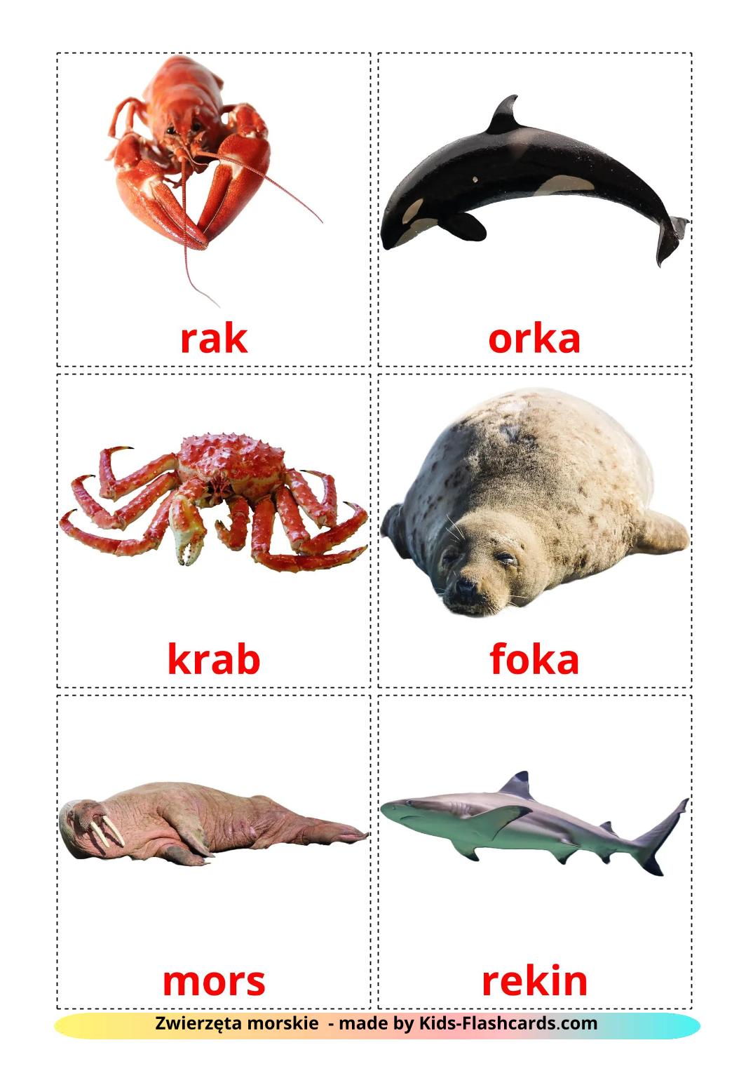 Sea animals - 30 Free Printable polish Flashcards 