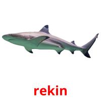 rekin picture flashcards