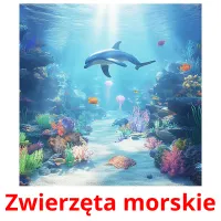 Zwierzęta morskie picture flashcards