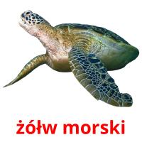 żółw morski card for translate