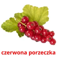 czerwona porzeczka карточки энциклопедических знаний