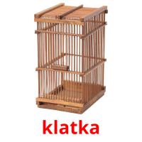 klatka picture flashcards