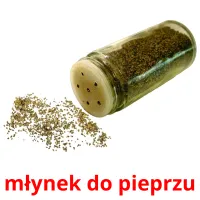 młynek do pieprzu карточки энциклопедических знаний