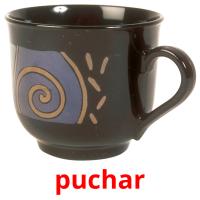 puchar picture flashcards