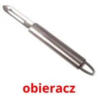 obieracz picture flashcards