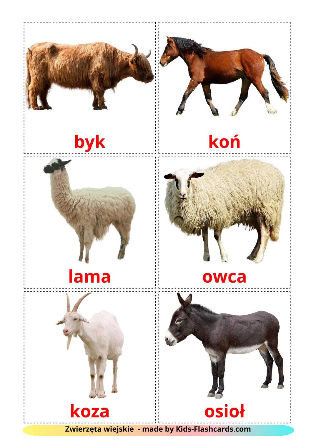 Farm animals - 16 Free Printable polish Flashcards 