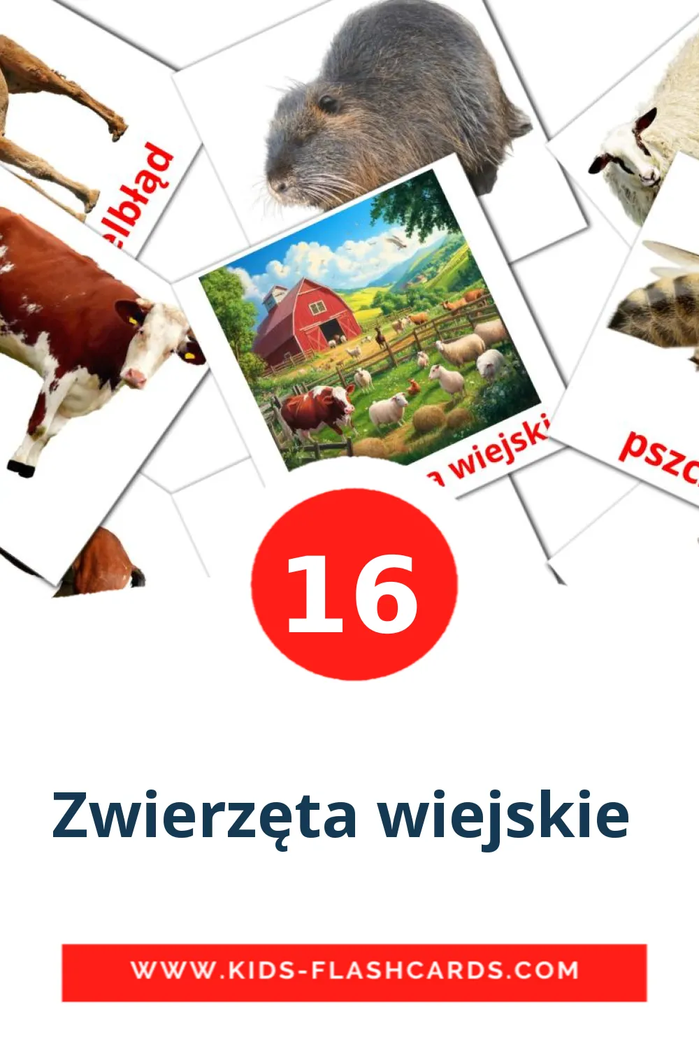 16 Zwierzęta wiejskie  Picture Cards for Kindergarden in polish