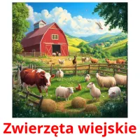 Zwierzęta wiejskie picture flashcards