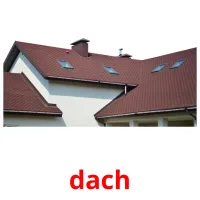 dach picture flashcards