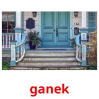 ganek picture flashcards