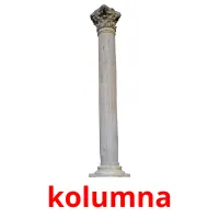 kolumna picture flashcards