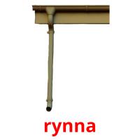 rynna picture flashcards