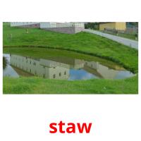 staw picture flashcards