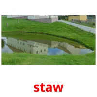 staw Bildkarteikarten