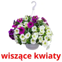 wiszące kwiaty Bildkarteikarten