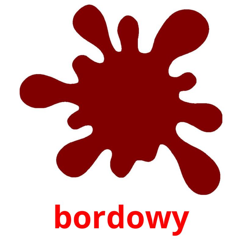 bordowy picture flashcards