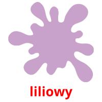 liliowy picture flashcards