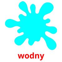 wodny picture flashcards