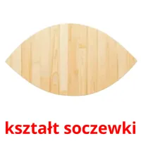 kształt soczewki picture flashcards