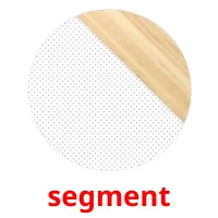 segment picture flashcards