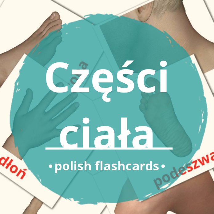 24 Body Parts Details about   Educational Flash Cards Polish