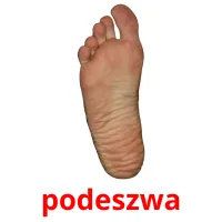 podeszwa picture flashcards