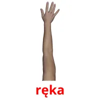 ręka picture flashcards