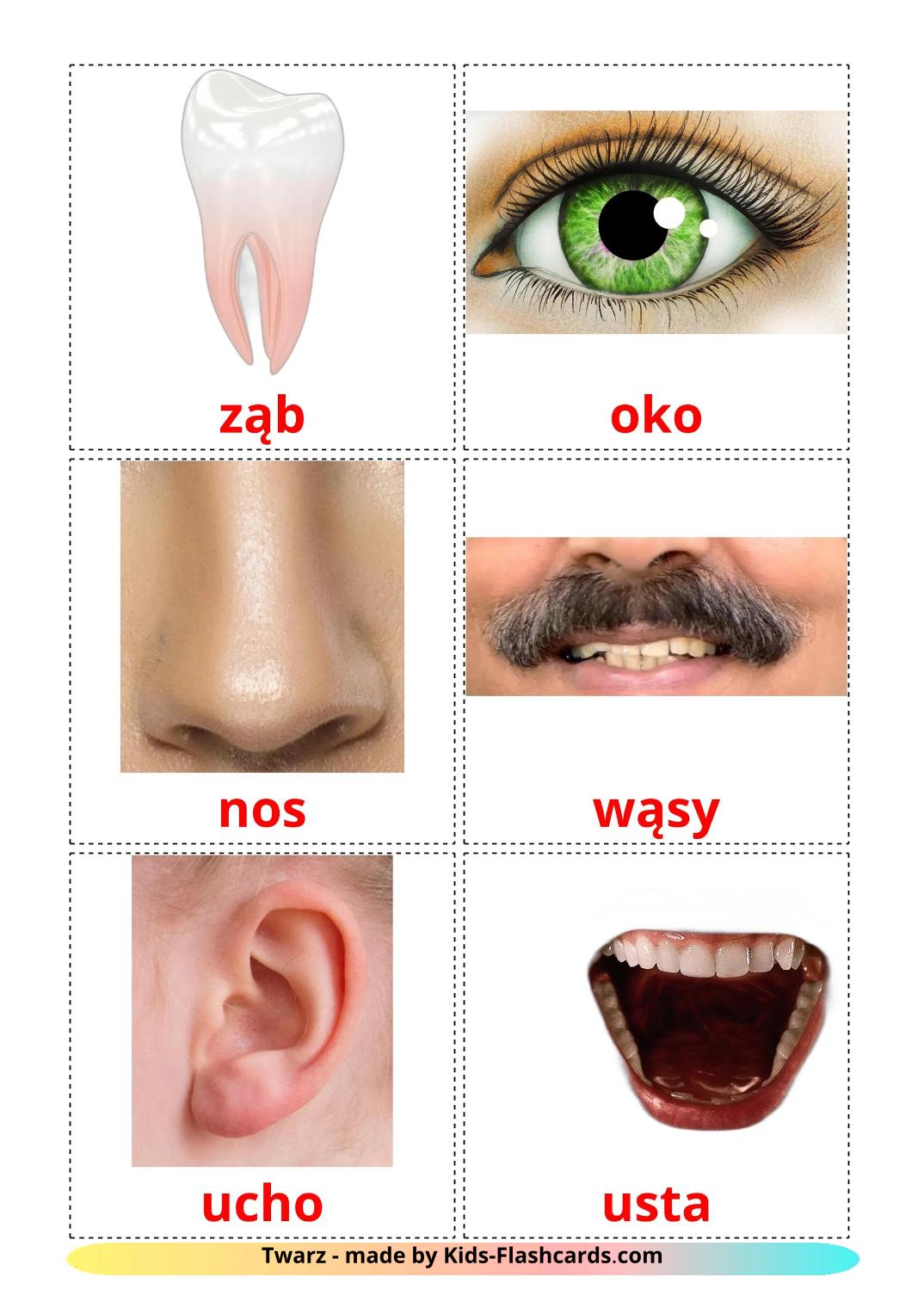 Face - 20 Free Printable polish Flashcards 