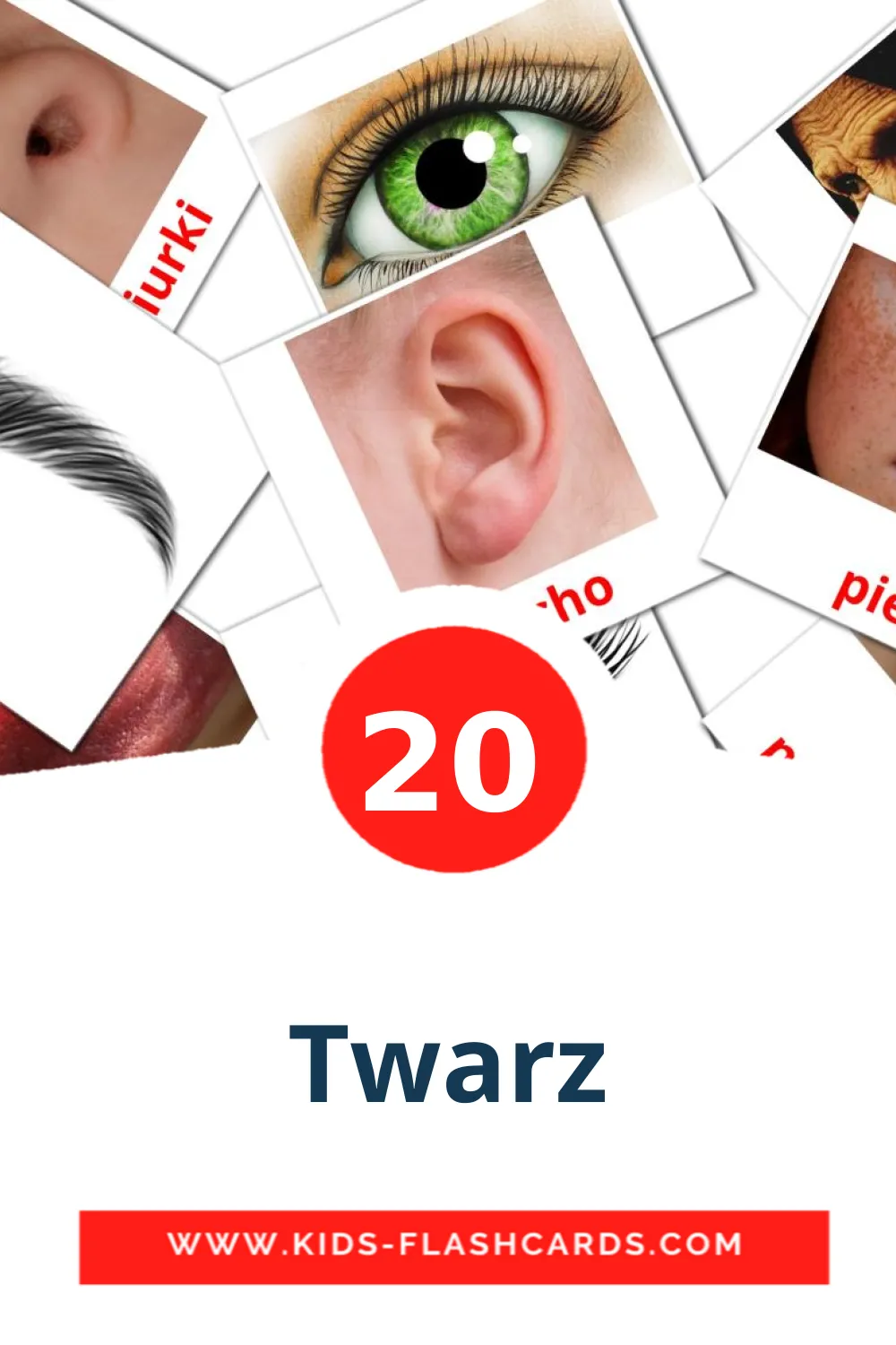 20 Twarz Picture Cards for Kindergarden in polish