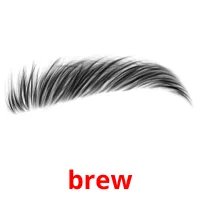 brew picture flashcards