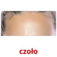 czoło picture flashcards