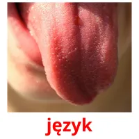 język picture flashcards