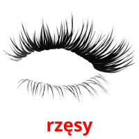 rzęsy picture flashcards