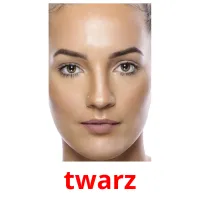 twarz picture flashcards