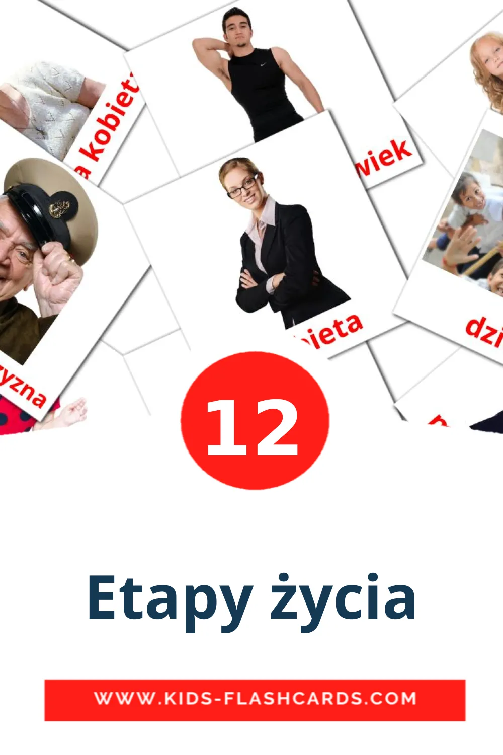 12 Etapy życia Picture Cards for Kindergarden in polish