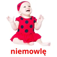 niemowlę picture flashcards