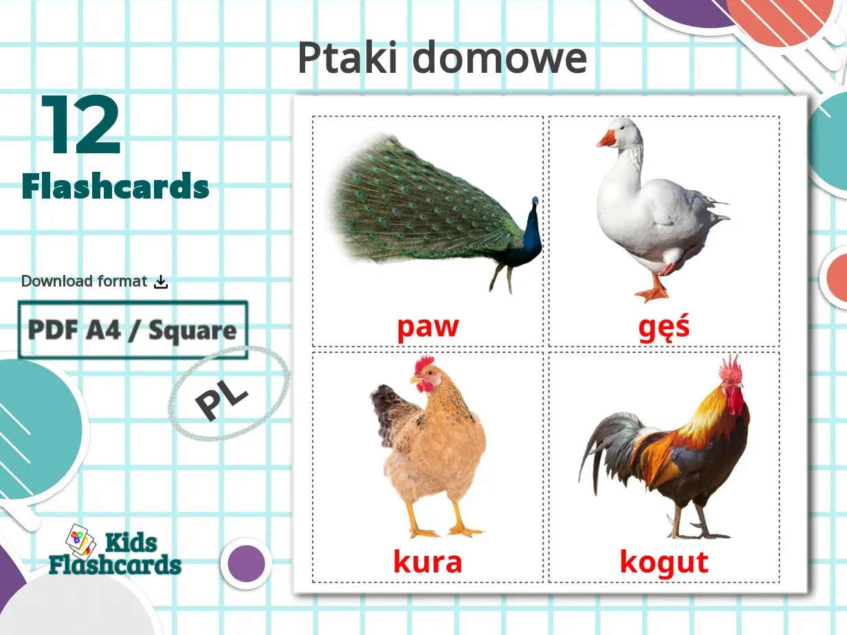 12 Printable Farm birds Flashcards in Polish (Free PDF)