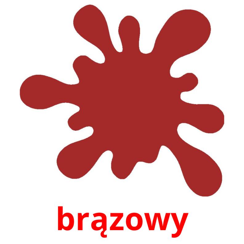 brązowy picture flashcards