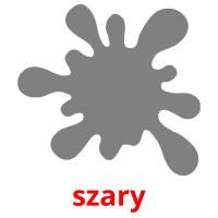 szary picture flashcards
