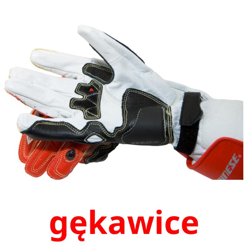 gękawice picture flashcards