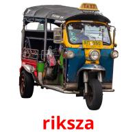 riksza picture flashcards