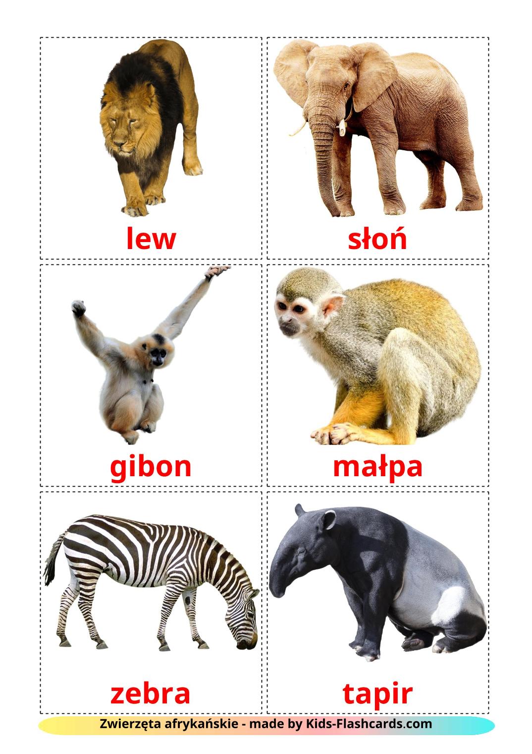 Animali della giungla - 21 flashcards polacco stampabili gratuitamente
