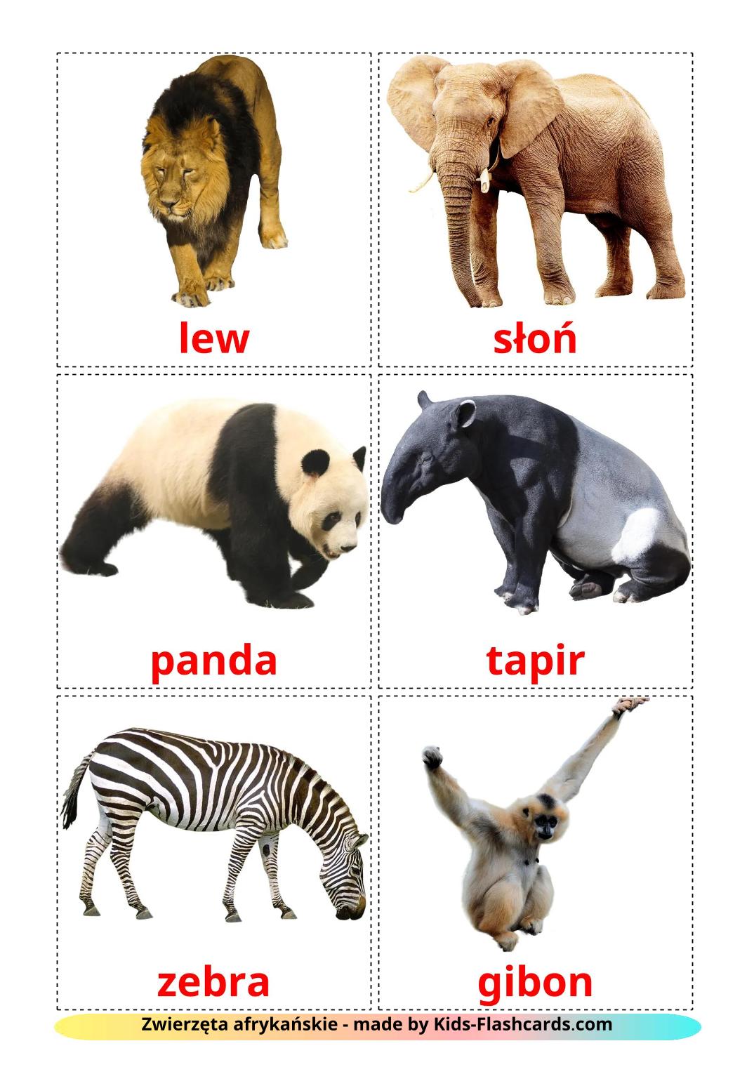 Jungle animals - 22 Free Printable polish Flashcards 