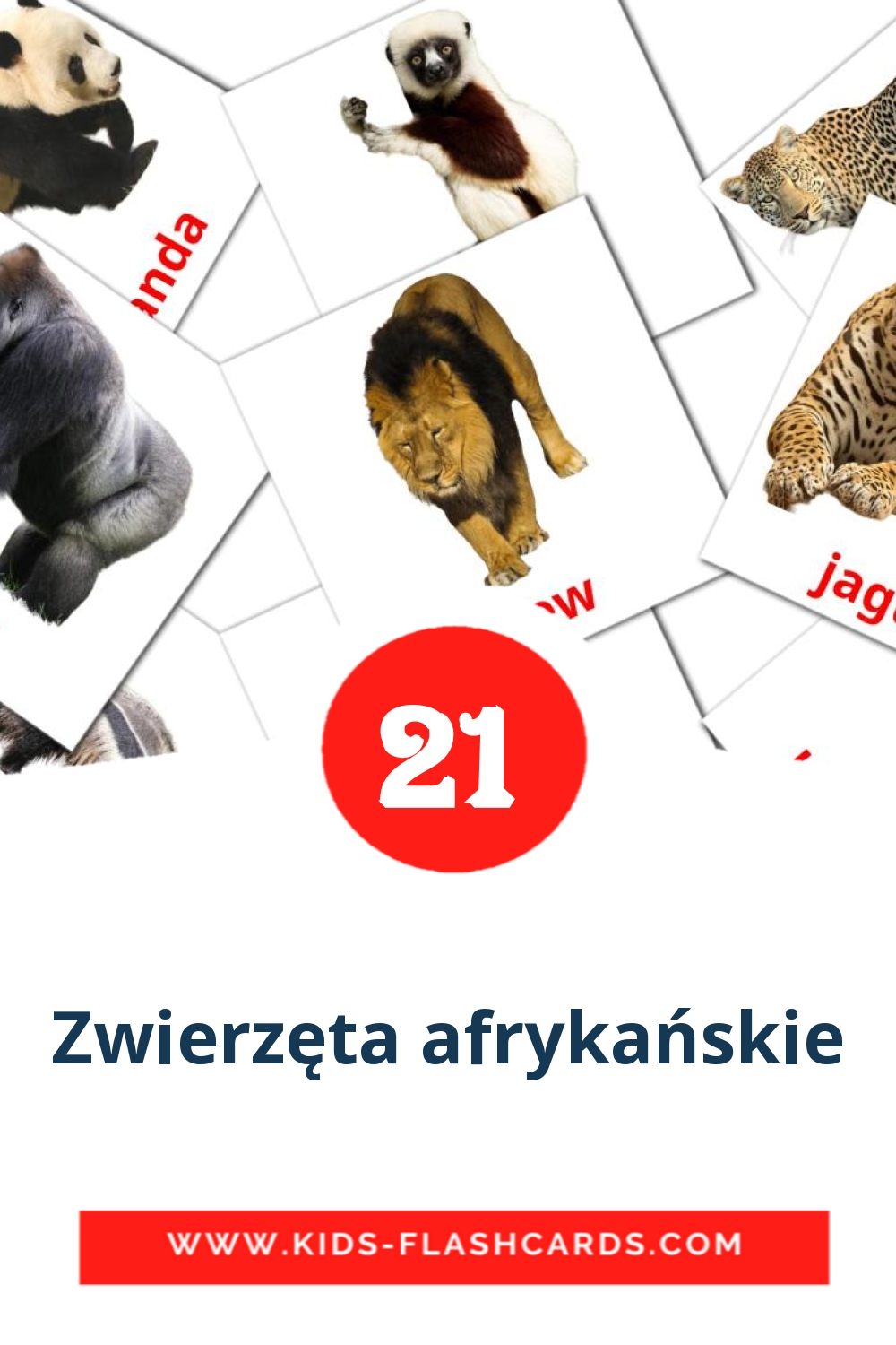 21 Zwierzęta afrykańskie Bildkarten für den Kindergarten auf Polnisch
