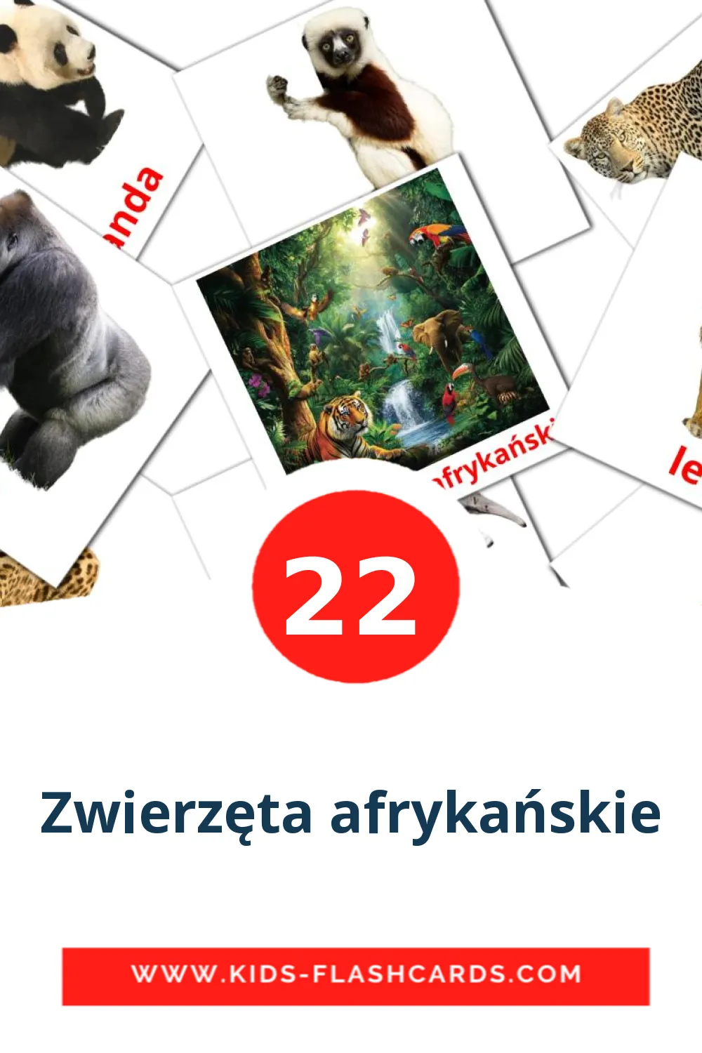 22 Zwierzęta afrykańskie Picture Cards for Kindergarden in polish