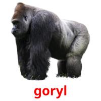 goryl picture flashcards