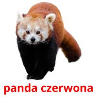 panda czerwona cartões com imagens