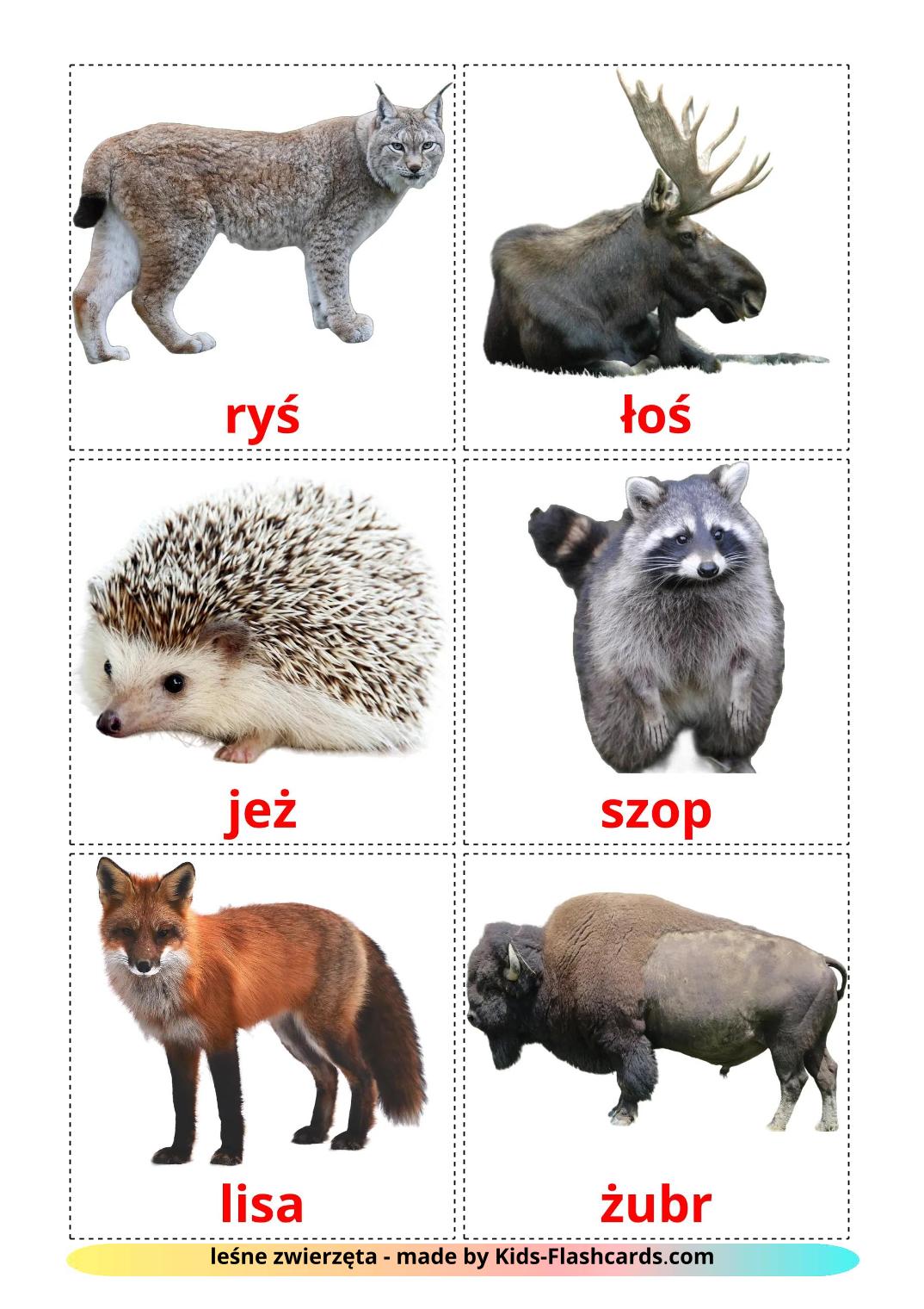 Forest animals - 23 Free Printable polish Flashcards 