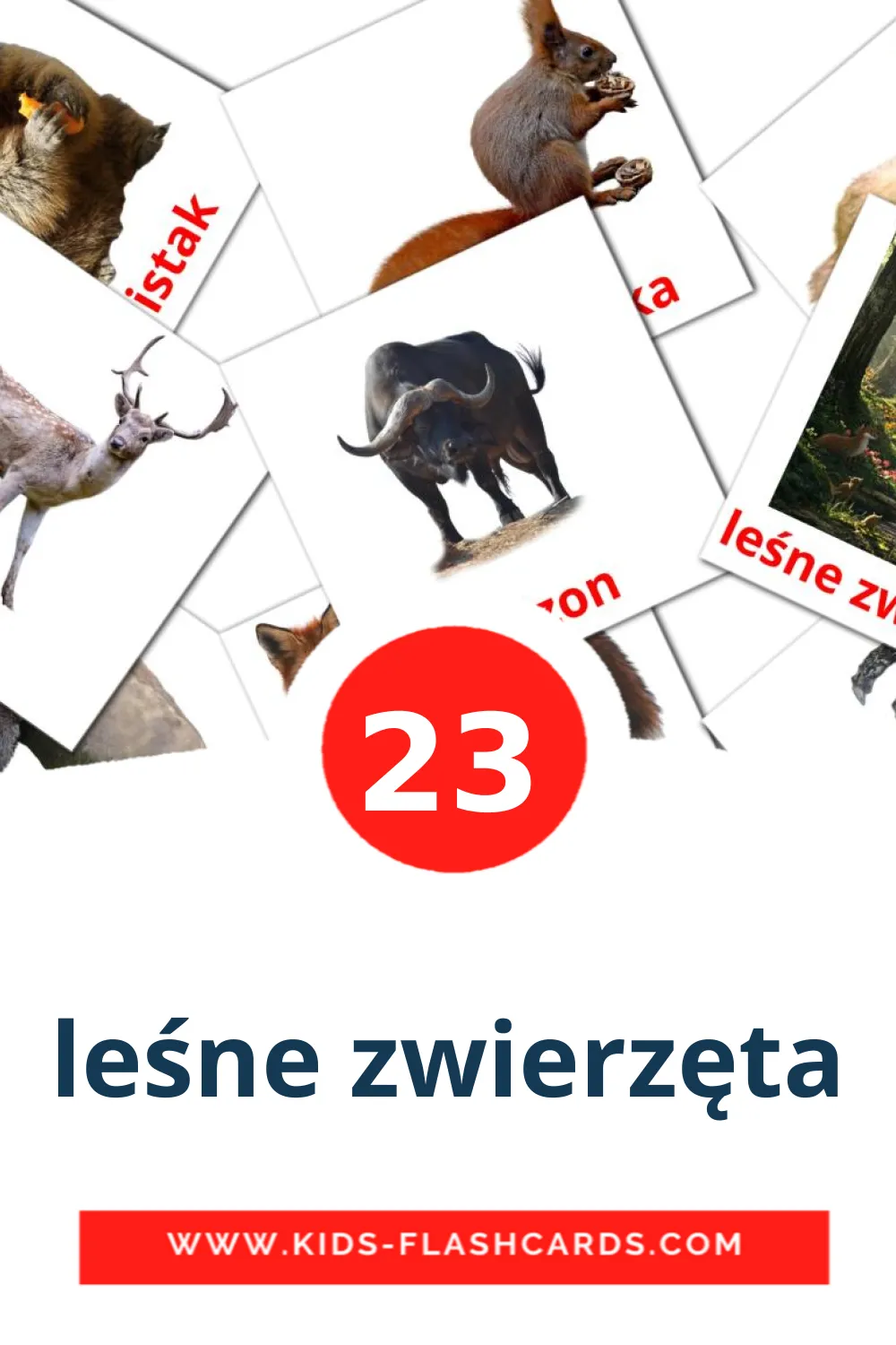 23 leśne zwierzęta Picture Cards for Kindergarden in polish