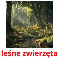 leśne zwierzęta picture flashcards